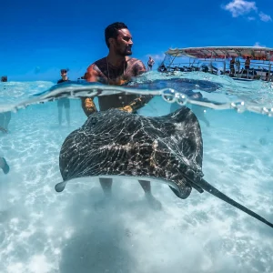 4 HOURS-Albert Snorkeling Tours
